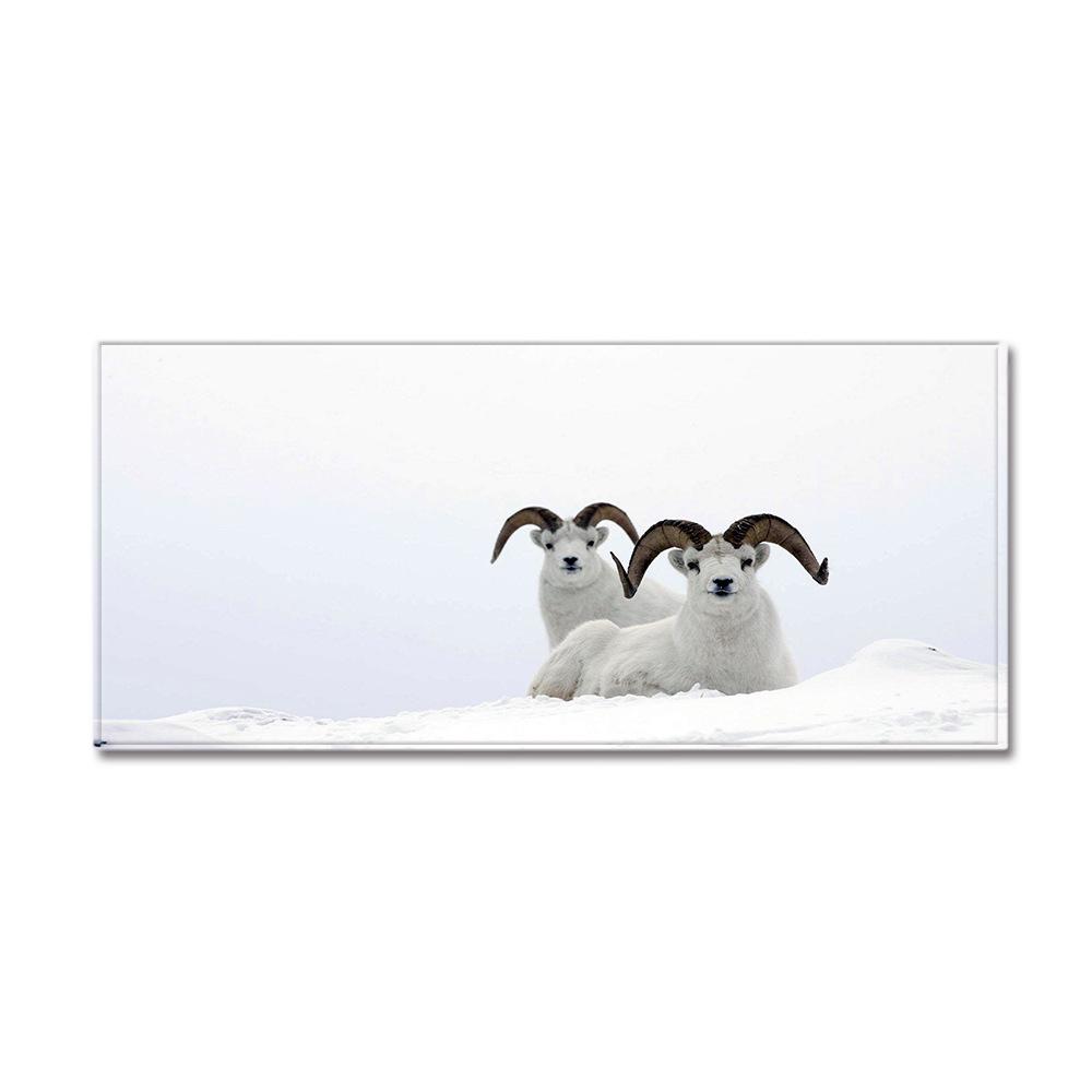 3D Digital Printing Animal Entrance Door Mat Kitchen Dirt-Resistant Long Bathroom Absorbent Floor Mat Living Room Non-Slip Carpet