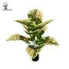 Artificial Colored Taro Leaves: Indoor Decorative Potted Plant