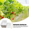 Hydroponics Growing System Kit 6-Holes Germination System Garden Cultivation Box For Vegetables Flowers Fruits Indoor Outdoor