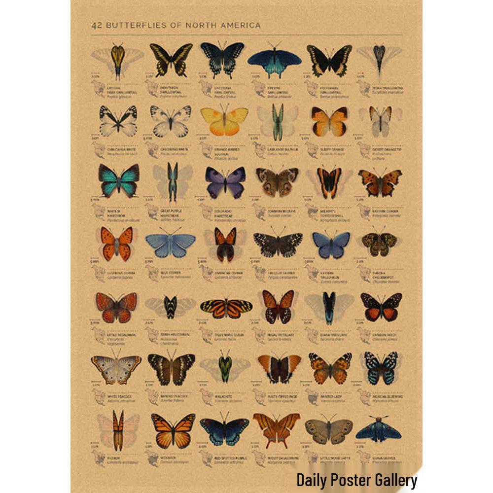 Retro Schmetterlings-Illustrationsposter: Handbemalte Tier-Wandkunst im Vintage-Stil, europäisch & amerikanisch