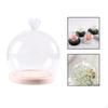 Display Dome with Base Case DIY Valentines Day Gifts Anniversary Gifts,Transparent Stand Jar