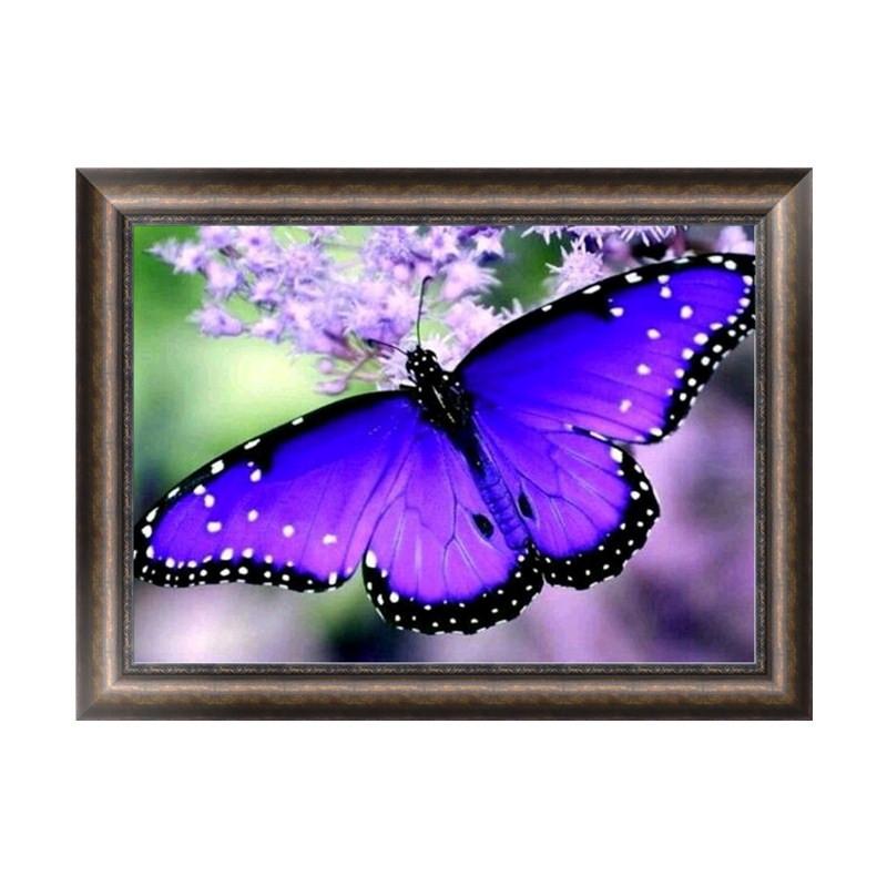 

DIY 5D Diamond Embroidery for Butterfly Painting for Cross Stitch Craft Home Dec