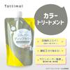 Dip Color Silver Color Treatment 500g Color Butter [Overwhelming Value] Tottimo!