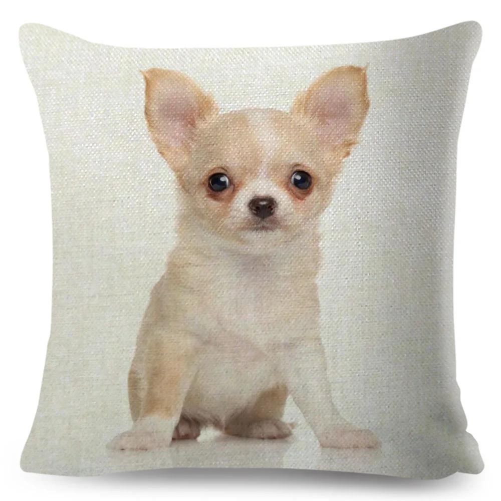 Niedlicher Kleiner Hund Chihuahua Kissenbezug Deko Liebes Haustier Tier Kissenbezug Polyester Überwurf Kissenbezug für Sofa Zuhause Auto 45x45cm