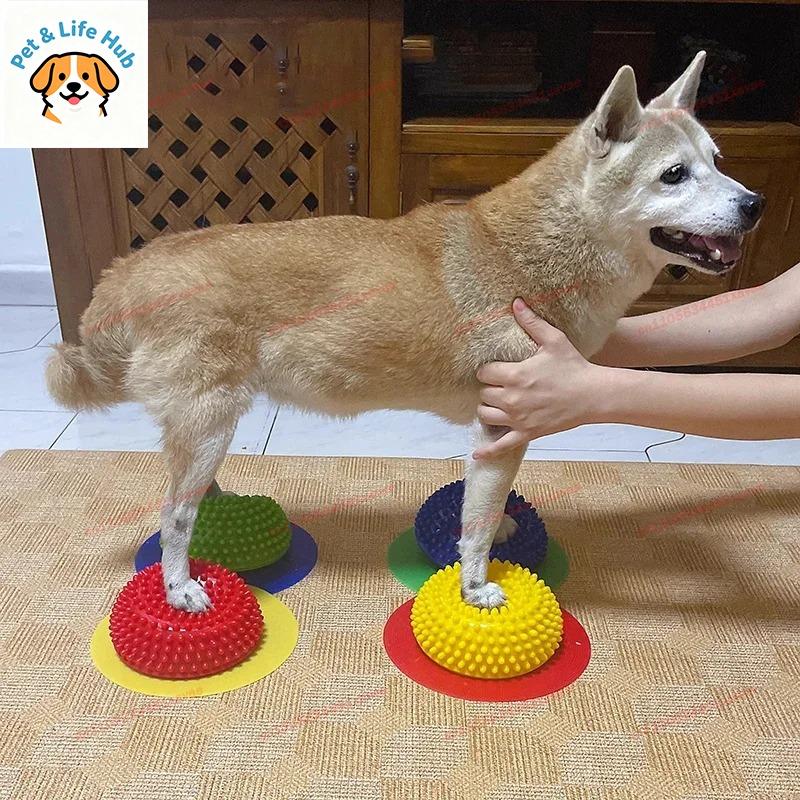 AVC Hund Hämisphärischer Pfotenballen Trainer Gleichgewichtskorrektur Muskelregeneration Für Knie Patella Lendenwirbelsäule Haustier Rehabilitation