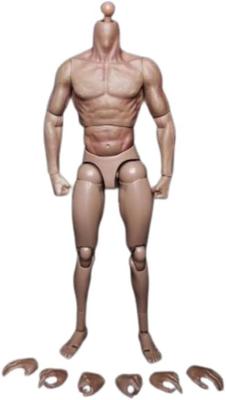 12 Inch Male Action Figure Fit Head Carving Head Sculpt Model 16 1/6