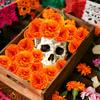Artificial Carnation Marigold Flower Heads Halloween Day of The Dead Mexican Indian Diwali Festival Party Decoration Supplies