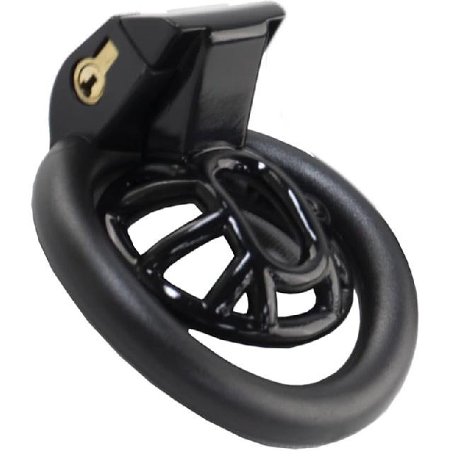 FREDORCH 2022 Super Small Penis Ring Sissy Chastity Cage,Locked in Male Chastity Device with 4 Base Ring (L-Large, Black)