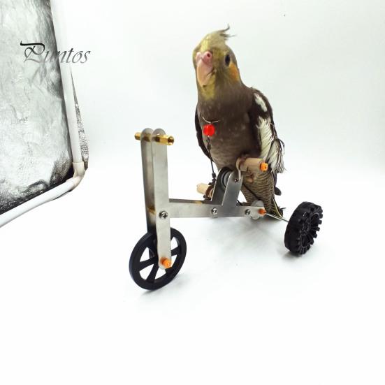Vogel Fahrrad Spielzeug 1 Set Papagei Training Lustiger Wellensittich Nymphensittich Wellensittich Fahrrad Mini Metall 4 Räder Fußtraining Lernmaterialien Fahrradförmig