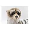 BH4248 HANSA Raccoon 25