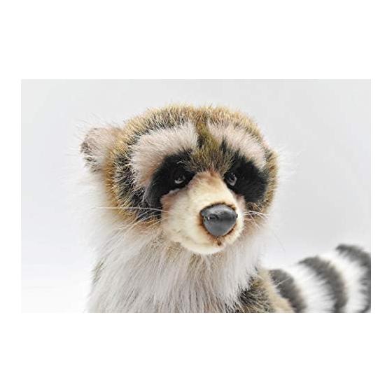 BH4248 HANSA Raccoon 25