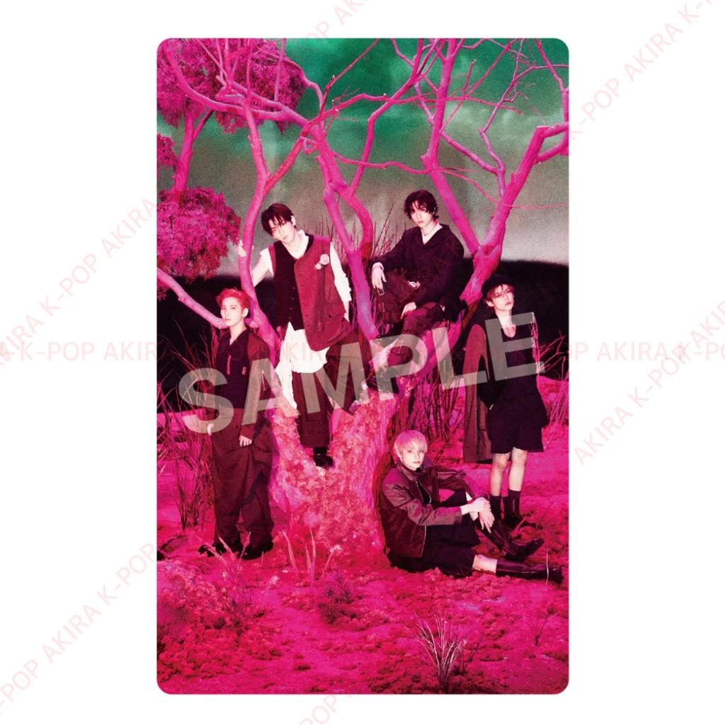 PRE-ORDER TXT 7TH YEAR: A Moment of Stillness In the Thorns POB LD PHOTO CARD OFFICIAL