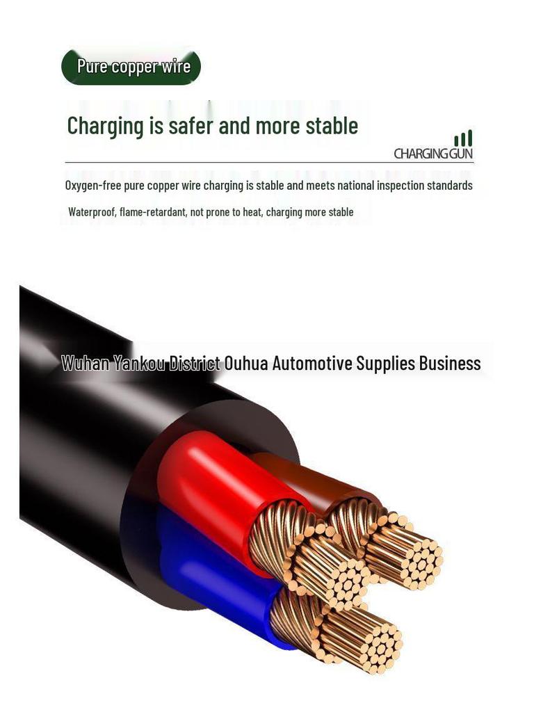 Huachen Xinyuan Jin Hai Lion EV Portable Charging Cable for Electric Vehicles