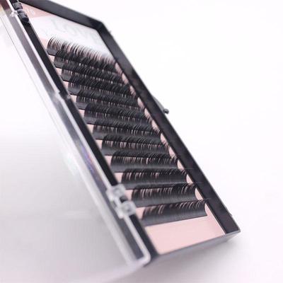 Extensiones de pestañas
