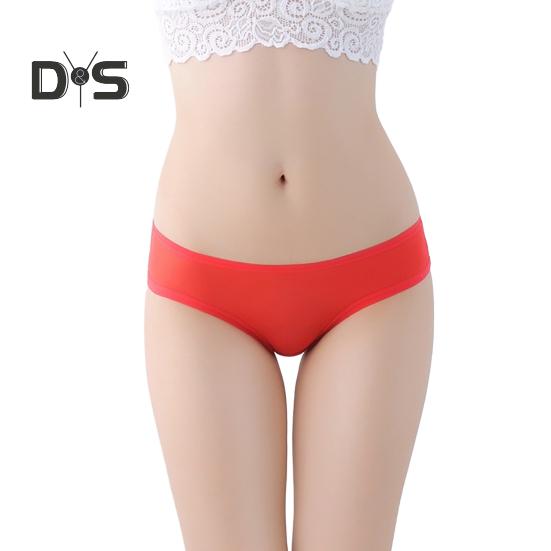 Sexy Transparent Mesh Briefs See Through Solid Color Ultra Thin Low Rise Panties Breathable Girls Underpants Daily Wear