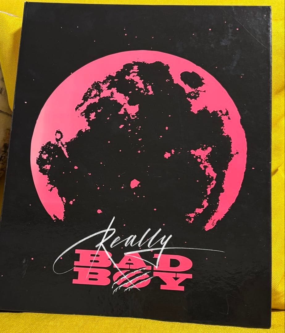 

[USED] Red Velvet trading card binder