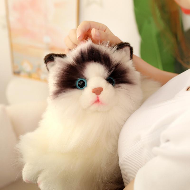 Søt Simulering Plysj Klutdukke Katteleke Myk Tegneserie Kosedyr Fluffy Hjemmedekor Gaver Til Jente