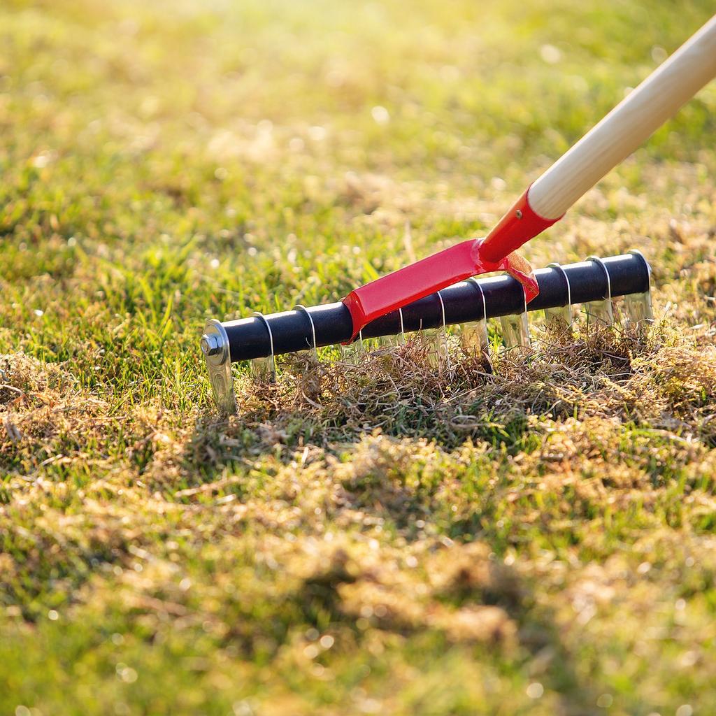 KADAX Manual Aerator Verticutter for Grass Single-sided Metal Without Handle