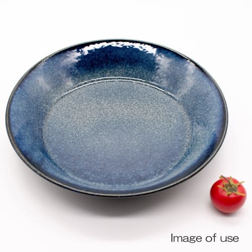 Aito "Natural Color" Curry/Pasta Plate, Approx. 21cm, Navy, Mino Ware, Dishwasher and Microwave Safe, Made in Japan, 517016
