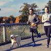 Outdoor Sports Pet Waist Pack Leash Reflective Elastic Bungee Anti-pull Running Rope Soft Durable Dog Leash