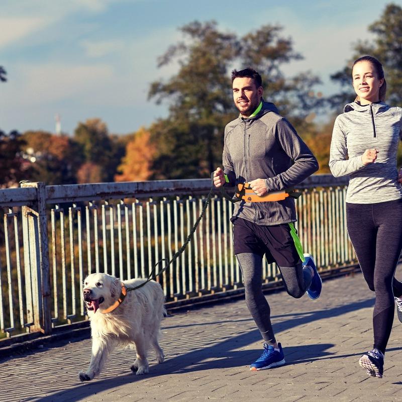 Outdoor Sports Pet Waist Pack Leash Reflective Elastic Bungee Anti-pull Running Rope Soft Durable Dog Leash