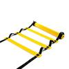 Agility Training Ladder