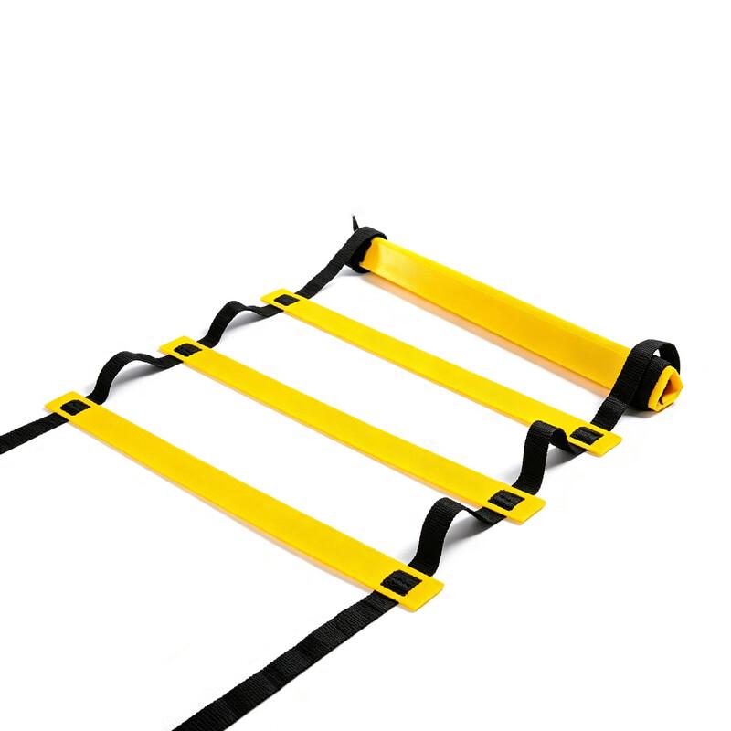 Agility Training Ladder