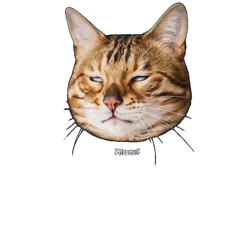 Übergroßes T-Shirt Schwarze Katze Gesicht Print Und Text Grafik-Tee Für Freizeitkleidung