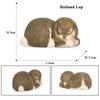 Oenux Lovely Farm Rabbit Bunny Model Action Figure Figurine Wild Desert Cottontail Hare Cute PVC Decoration Education Kid Toy