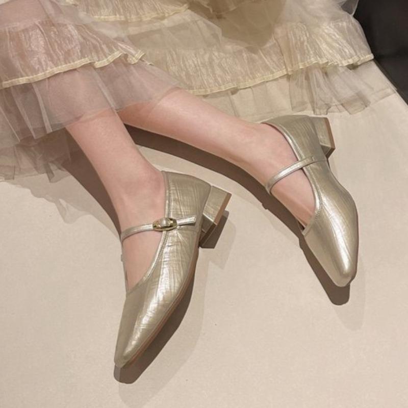 2026 Spring Pointed tip Thick Heel Women Shoes Concise Shallow Buckle Shoes Ladies Elegant Dress Single Shoes