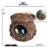 Children's Static Wild Animal Bird and Parrot Figure Set