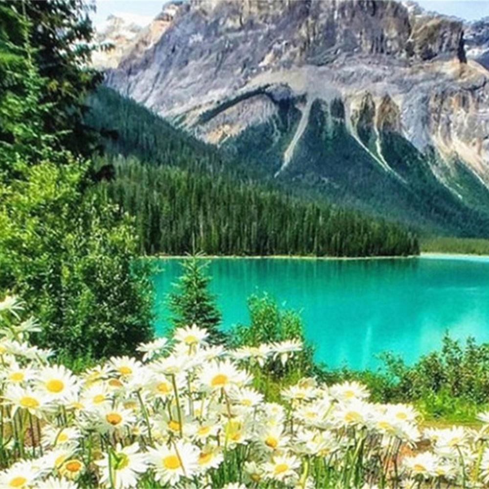 MomoArt Diamond Painting Blumen Vollrunde Bohrer Diamantmosaik Berg 5D DIY Kunst Perlenstickerei Landschaft Heimdekoration