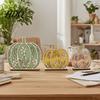 Natürliches Holz Thanksgiving Geschenk 3 Stück Herbst Holz Kürbis Tischdeko Schichtgeschnitten Ahornblatt Haus Dekoration Figur Ernte für Kaminsims