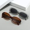 Oval Shaped Small Frame Men Sunglasses Trendy Hip-hop Street Photography UV Resistant Women Glasses