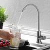 Wasserfilter-Wasserhahn Küchen-Wasserfilter-Wasserhahn, 304 Edelstahl Direct-Drinking-Wasserhahn,