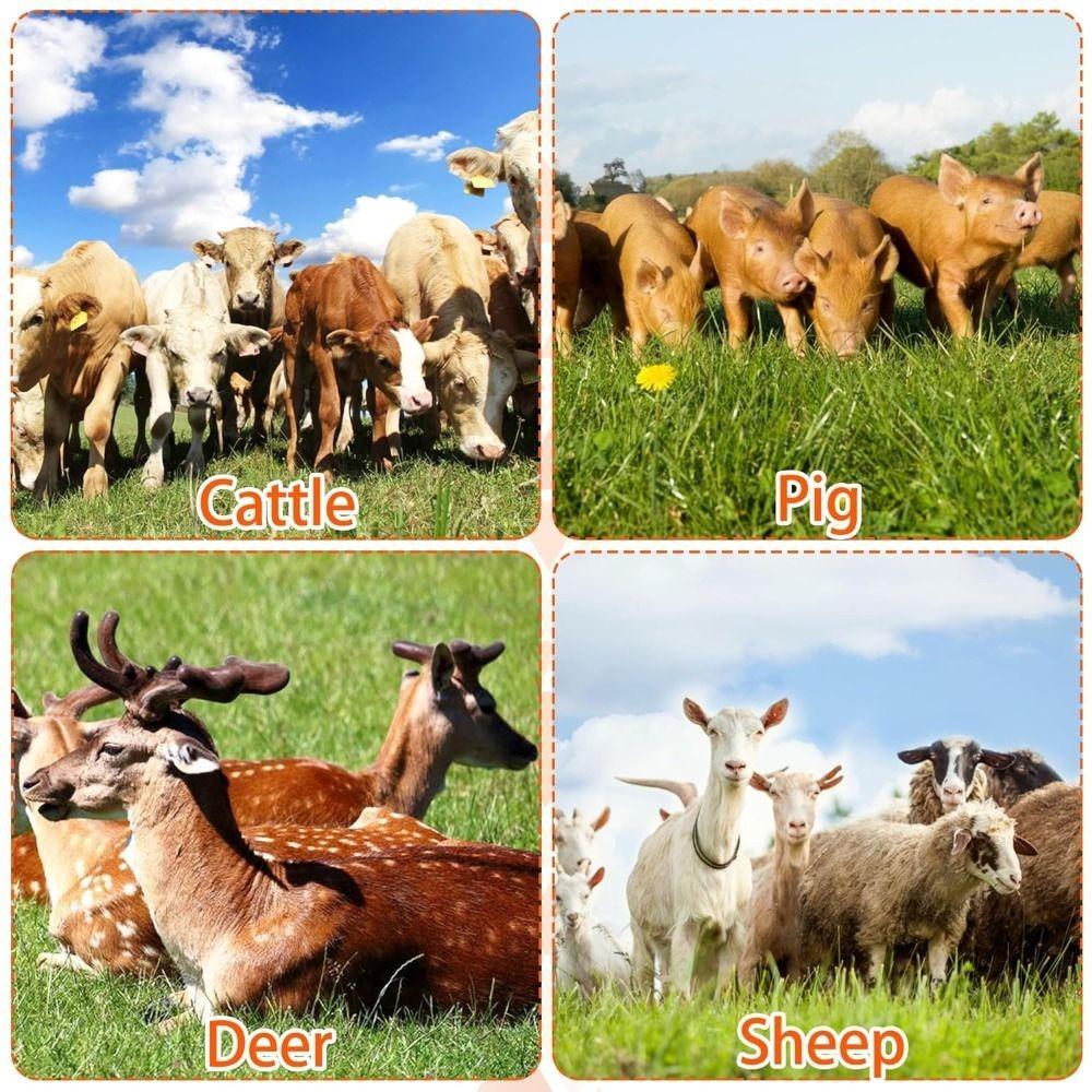 Deep Massage Livestock Grooming Brush Cylinder Brush Quick-Connect System Massage Grooming Tool Grooming Brush Itch Relief