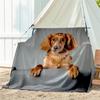 1pc dog pattern blanket, all season lightweight home office outdoor nap multifunctional blanket