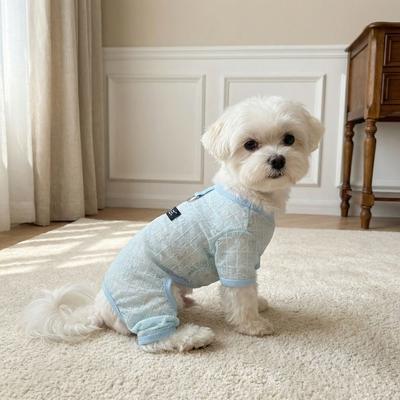 Abbigliamento e scarpe – Completini per cani
