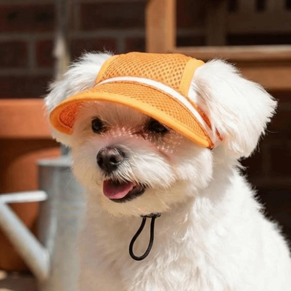 Adjustable Strap Puppy Sun Protection Cap with Ear Holes Cat Baseball Cap Daily Wear