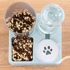 Pet Automatic Waterer Cat Feeder Food Container Bowl Anti-Leak Water Fountain 2 in 1 Pet Large Dog Water Feeder