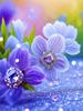 Diamond Painting Blooming Flower Cross Stitch Kits DIY Diamond Mosaic  Purple Flower New Arrivals Art Home Decor Handicraf Gift