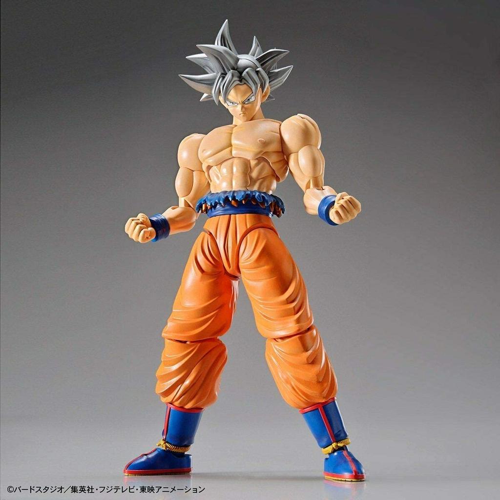 Standard Dragon Ball Son Goku no plastic model Figure-rise (Seishatsu Gokui) Color-coded