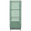 Vidaxl Raised Planter With Greenhouse, Rattan Look, 80X40X123 Cm