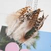 50Pcsdiy Jewelry Accessories Feather Diy Feather Headdress Corsage Hat Shoes Handicrafts Decorative Materials