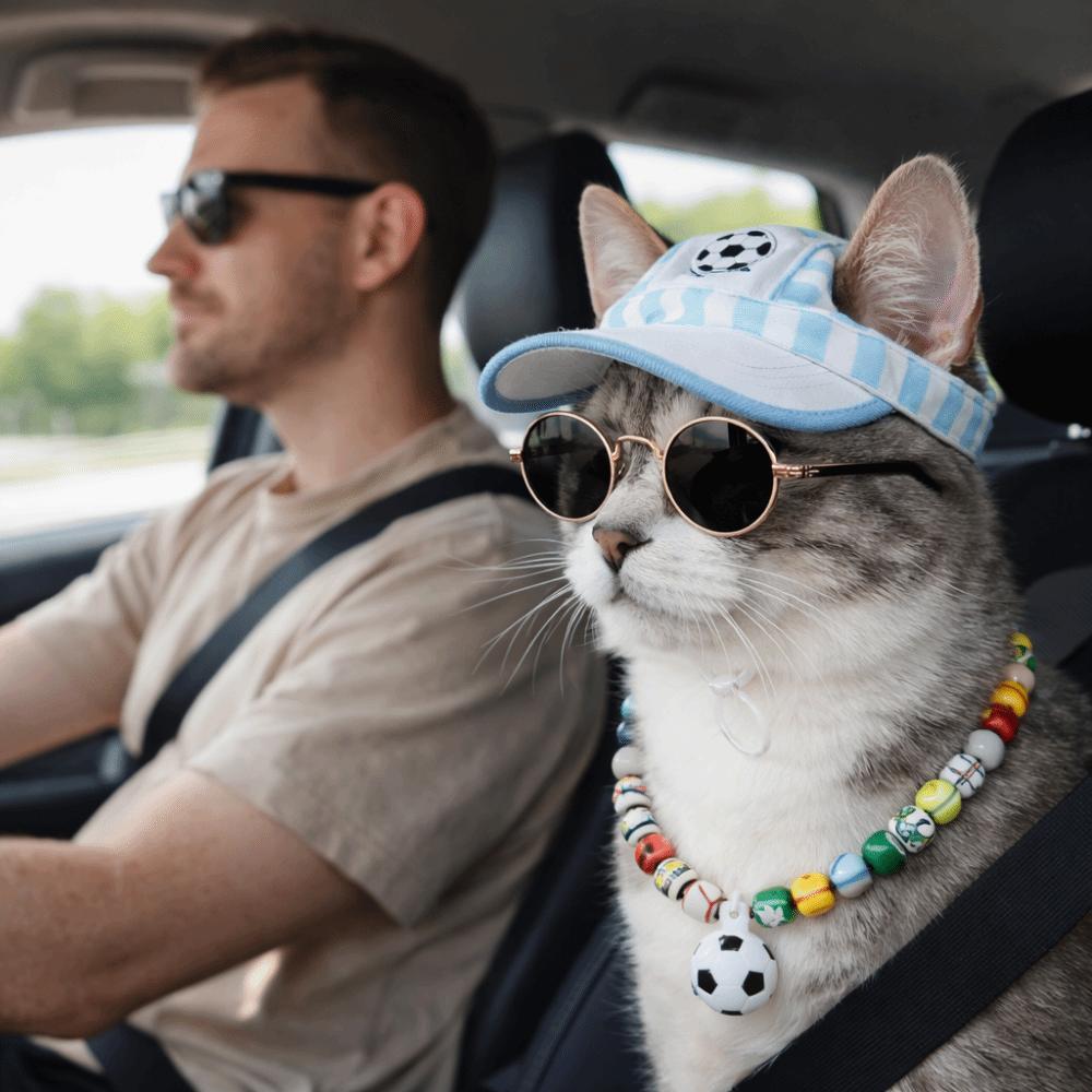 Adjustable Dog Sunshade Hat Breathable Pet Sunglasses Set Pet Soccer Hat  Beach Vacation