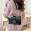 Fashion Bag Fresh Small Square Bag Korean Version Summer New Niche Design Simple Trendy Crossbody Bag