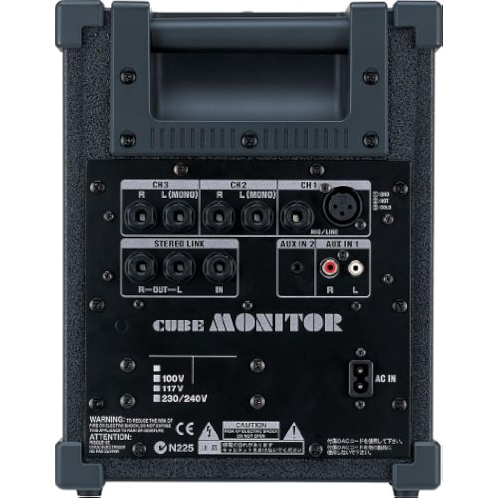 Roland Cube Monitor 30W CM-30