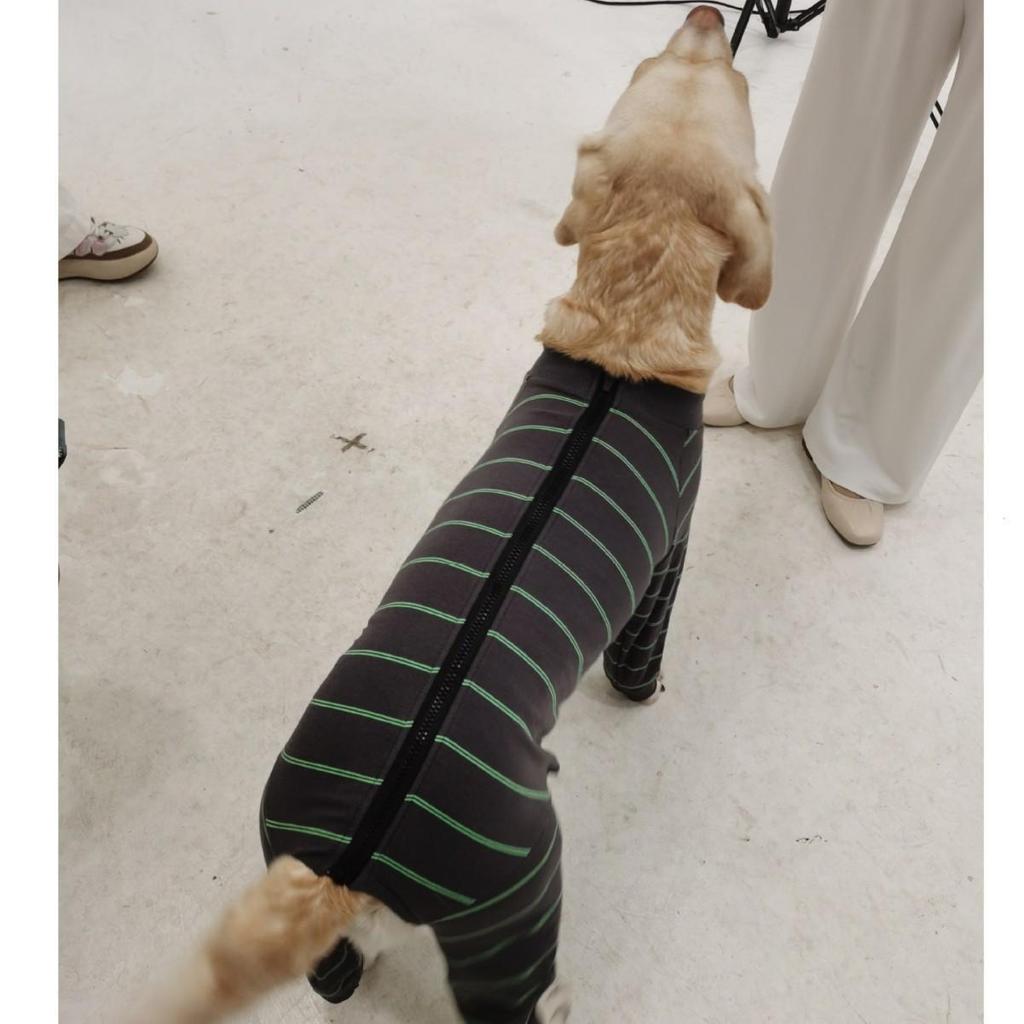 Full Coverage Elastic Dog Pajamas - Anti-Lick and Anti-Mosquito Suit for Large Dogs