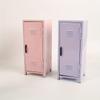 Rosa Lavendel Kleiner Schrank Metall Schreibtisch Niedliche Aufbewahrung Mädchen Spind Organizer Tischdeko Kawaii Schreibtischaufbewahrung Schränke Ins