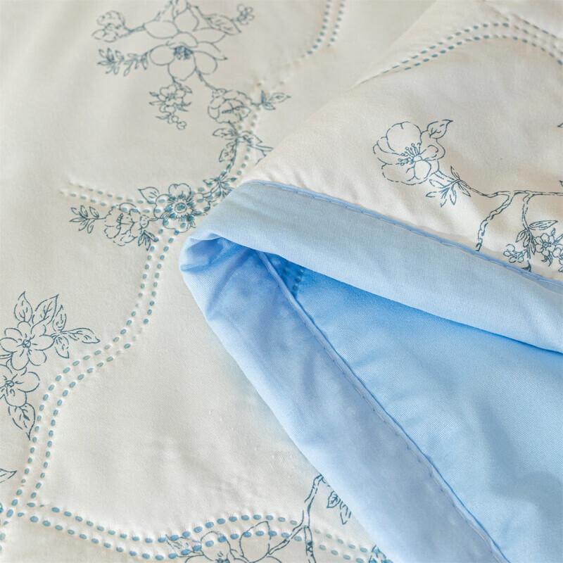 Belle Anna Washable Summer Air Conditioning Quilt